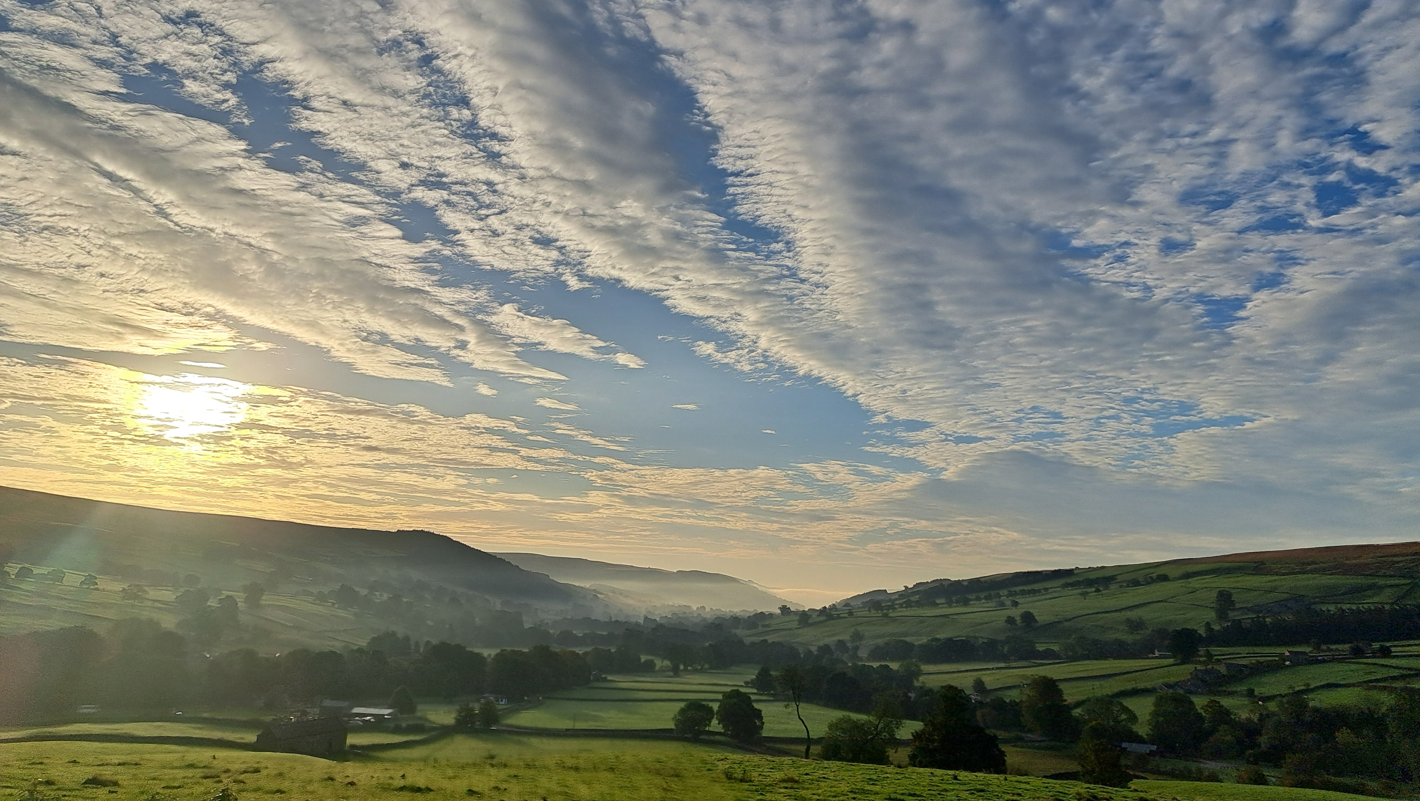 would be a photo of the sheep going up the hill with the quad bike and tree but that's landscape